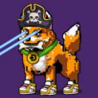 DogePunks #3362