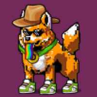 DogePunks #466