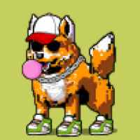 DogePunks #1302