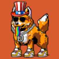 DogePunks #1191