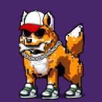 DogePunks #786