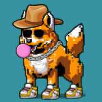 DogePunks #3718