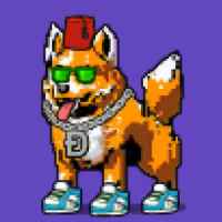 DogePunks #1594
