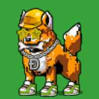 DogePunks #4876
