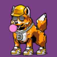 DogePunks #4316