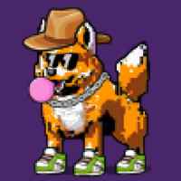 DogePunks #883