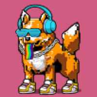 DogePunks #698