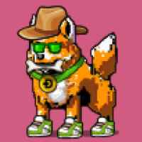 DogePunks #3082