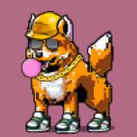 DogePunks #2362