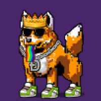 DogePunks #3787