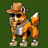 DogePunks #1583