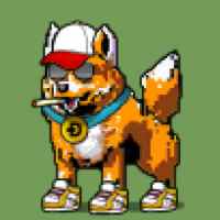 DogePunks #2898