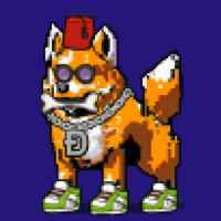 DogePunks #2807