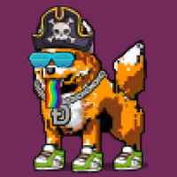 DogePunks #1249