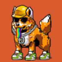 DogePunks #4823