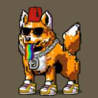 DogePunks #2072