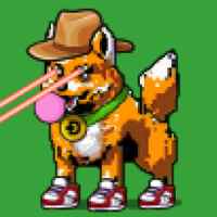 DogePunks #1088