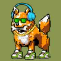 DogePunks #577