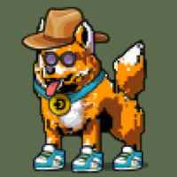 DogePunks #1293