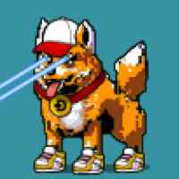 DogePunks #721