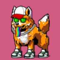DogePunks #1660