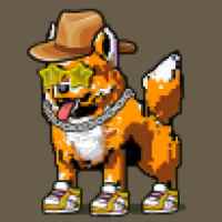DogePunks #2558