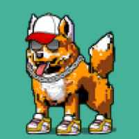 DogePunks #2874