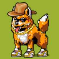 DogePunks #2600