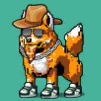 DogePunks #2762