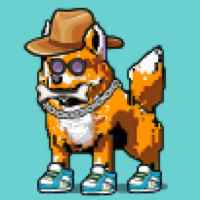 DogePunks #222