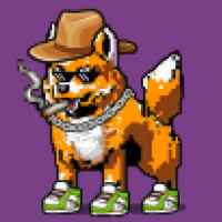 DogePunks #1405