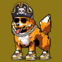 DogePunks #4589