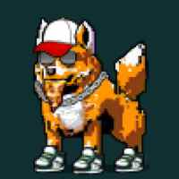 DogePunks #1534