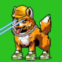 DogePunks #3021