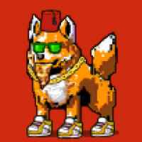 DogePunks #937