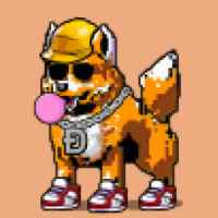 DogePunks #2245