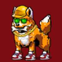 DogePunks #1800