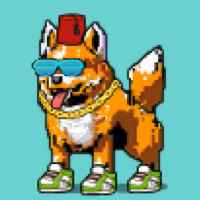 DogePunks #4948