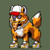 DogePunks #1907