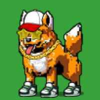 DogePunks #1595