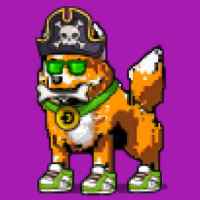 DogePunks #4361
