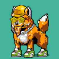DogePunks #1524