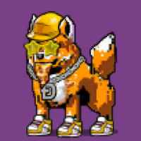 DogePunks #3579