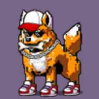 DogePunks #3269