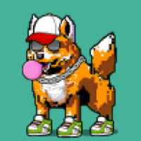 DogePunks #3237