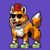 DogePunks #138
