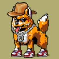 DogePunks #2228