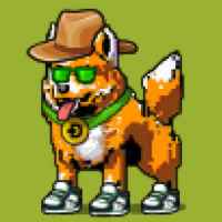 DogePunks #4647
