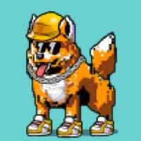DogePunks #431
