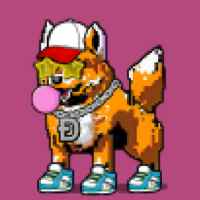 DogePunks #1576